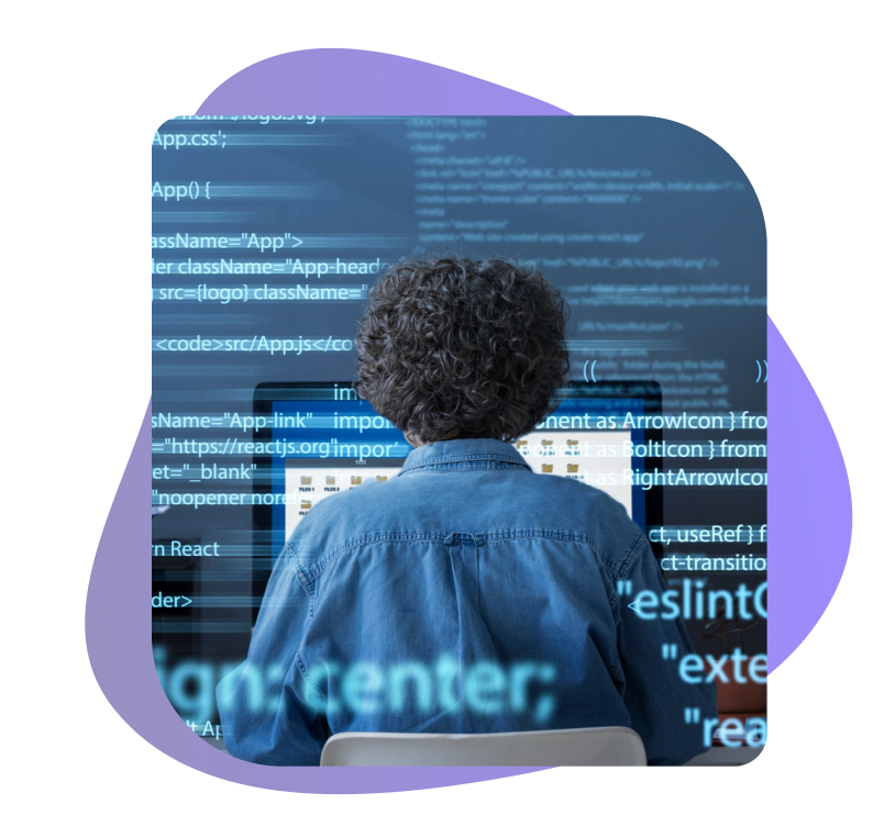 NextJs Developer Image